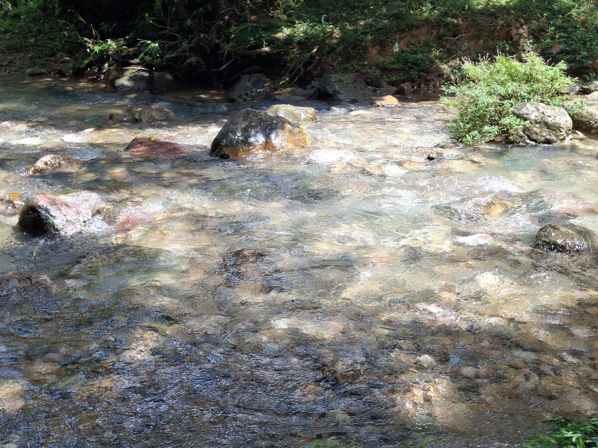 Arroyo de aguas cristalinas en La Arenilla