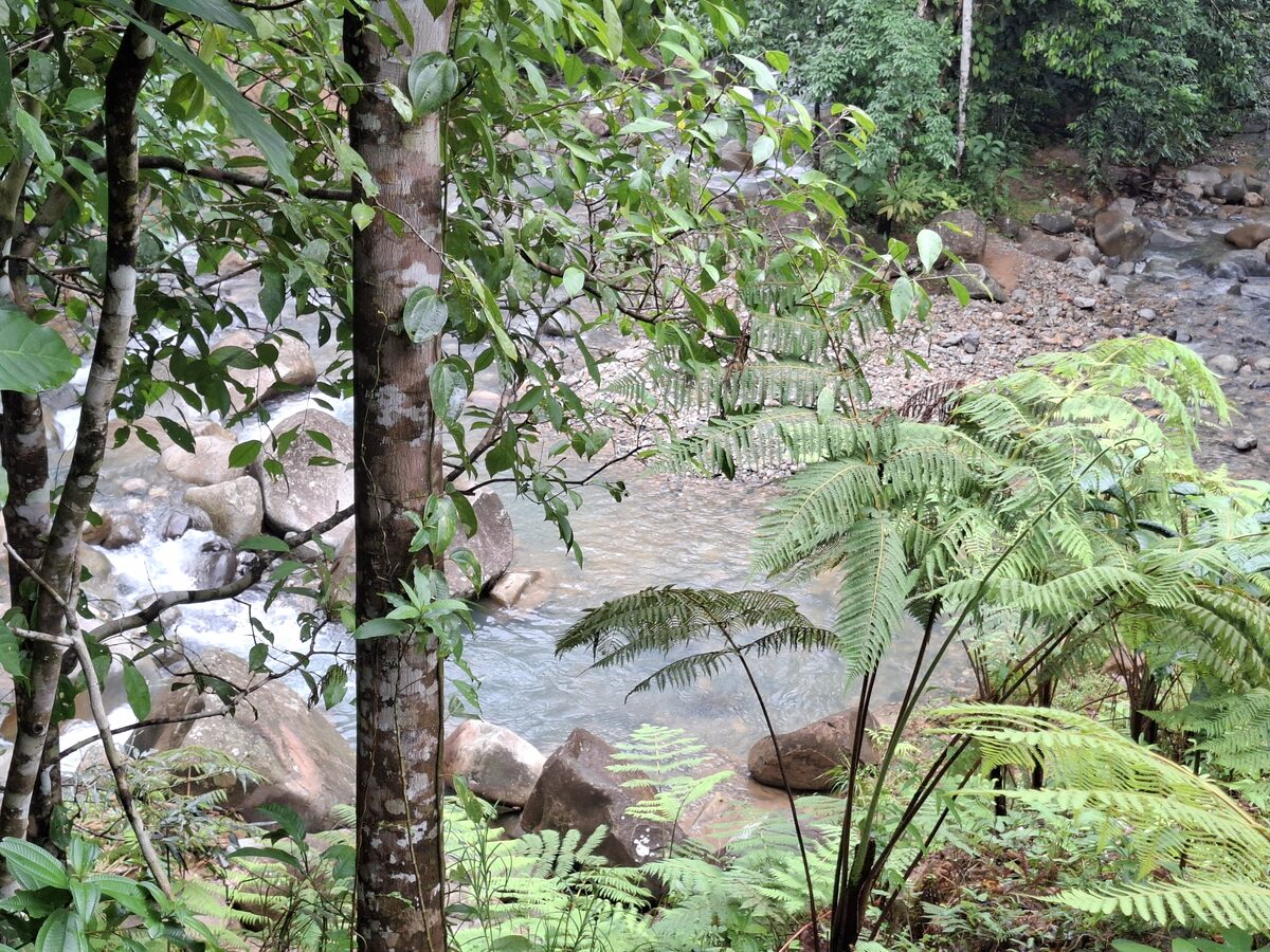 Carretera de terracería hacia la comunidad