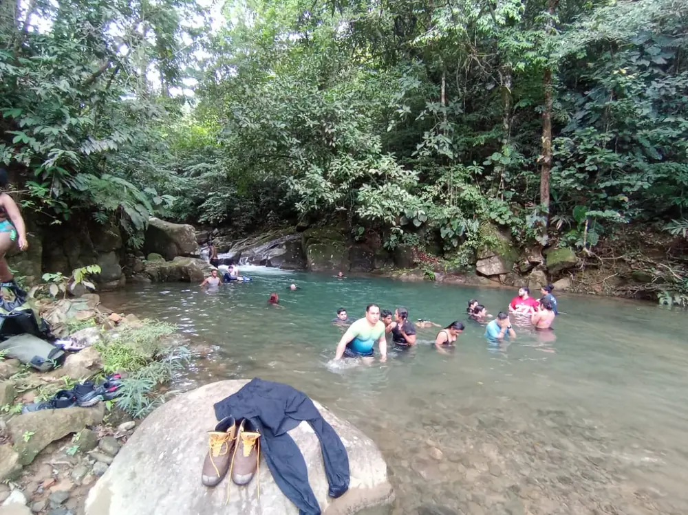 Río Arenilla entre la vegetación