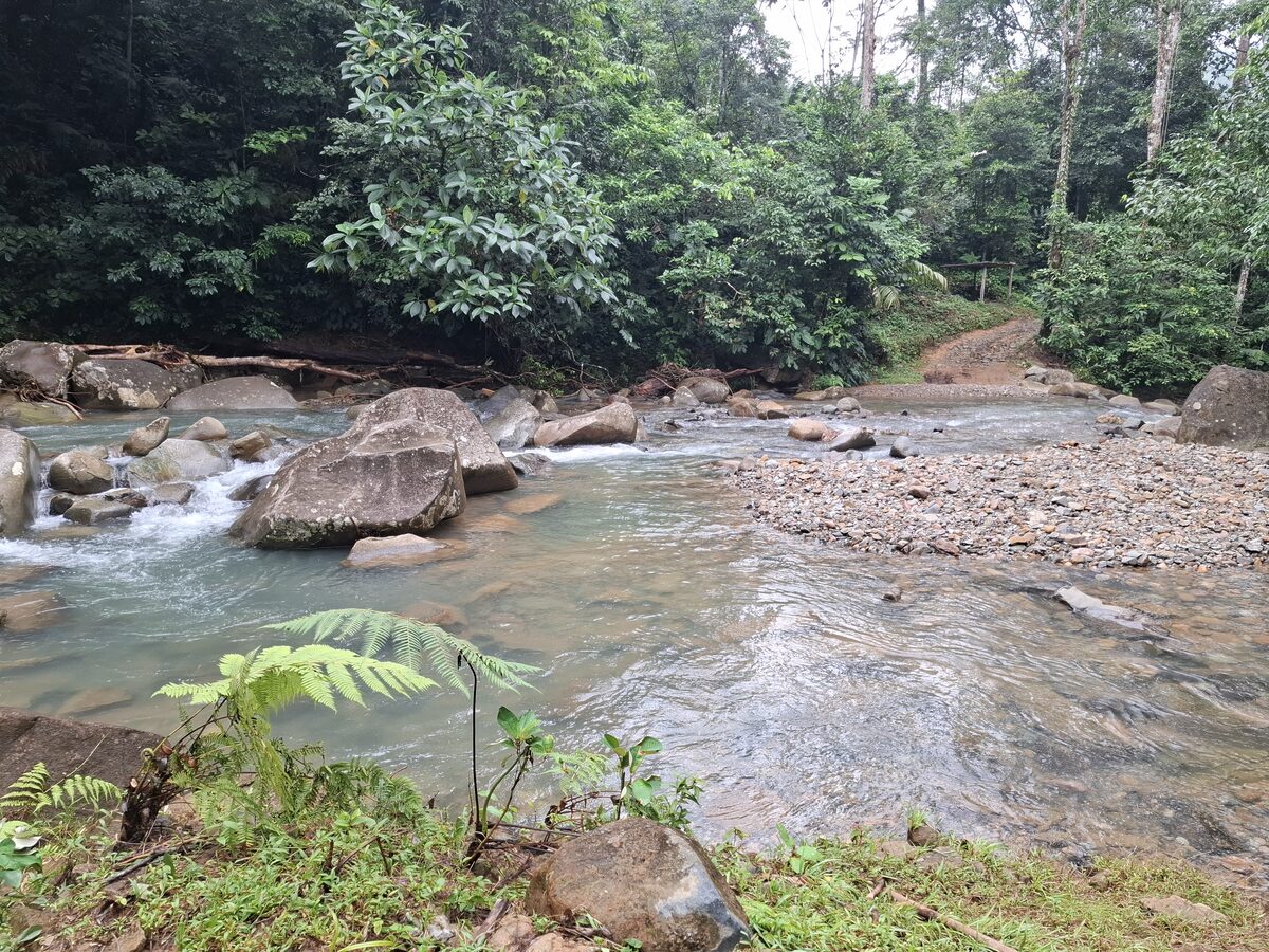 Camino de entrada a La Arenilla entre montañas